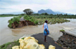 845 rescued, 661 still missing since Cyclone Ockhi